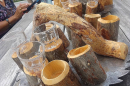 41 - Claudia